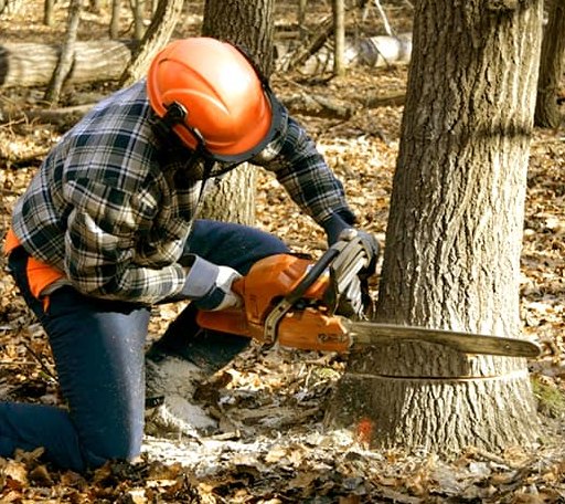 Tree Removal in Flat Rock, IL